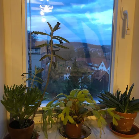 Marktresidenz Eisenach- Stilvolle Maisonette Mit 3 Zimmern Und 2 Baedern * Eisenach