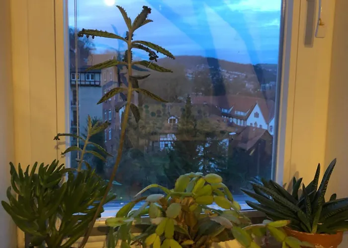 Marktresidenz Eisenach- Stilvolle Maisonette Mit 3 Zimmern Und 2 Baedern * Eisenach